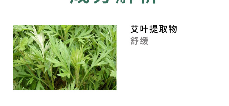 艾叶金银花祛痘膏oem代加工-修复肌肤去痘印红肿凝胶男女专用